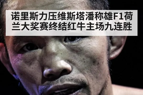 诺里斯力压维斯塔潘称雄F1荷兰大奖赛终结红牛主场九连胜